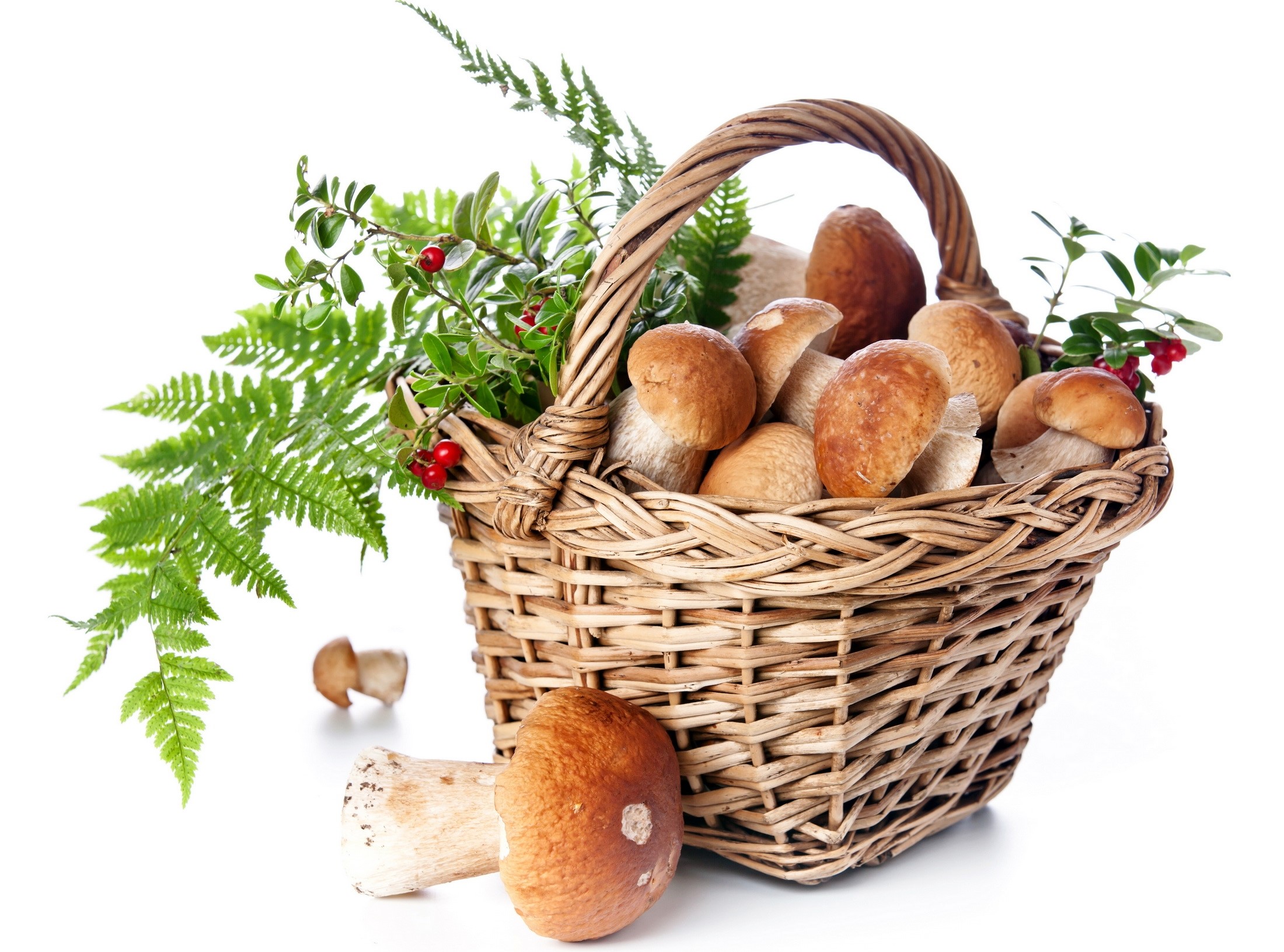 Basket with mushrooms